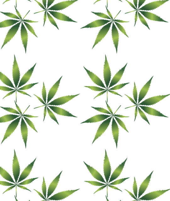 cannabis-weed-marijuana-640x480-10507460.png