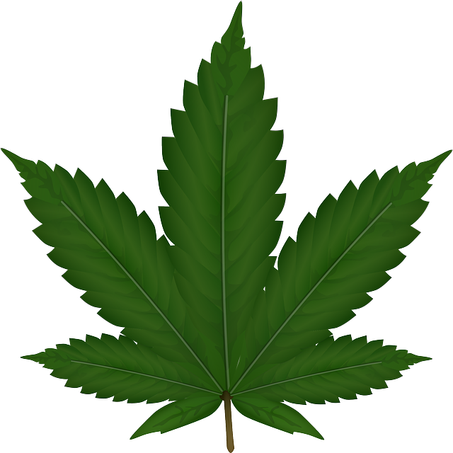 cannabis-weed-marijuana-640x480-12414050.png