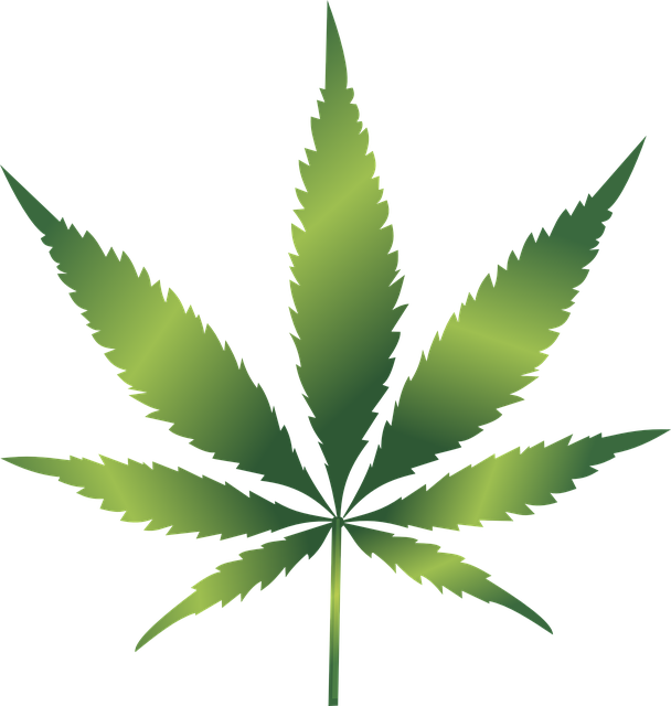 cannabis-weed-marijuana-640x480-14554034.png