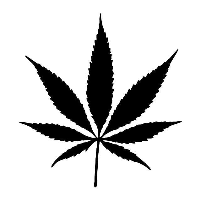 cannabis-weed-marijuana-640x480-15865275.jpeg