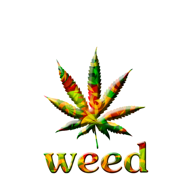 cannabis-weed-marijuana-640x480-15924236.png