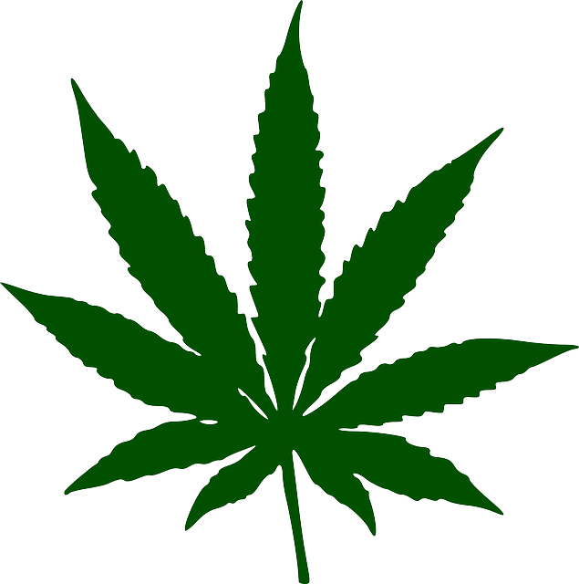 cannabis-weed-marijuana-640x480-23670192.png