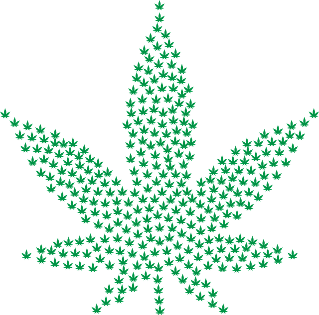 cannabis-weed-marijuana-640x480-23967261.png