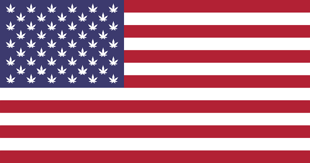 cannabis-weed-marijuana-640x480-3819732.png