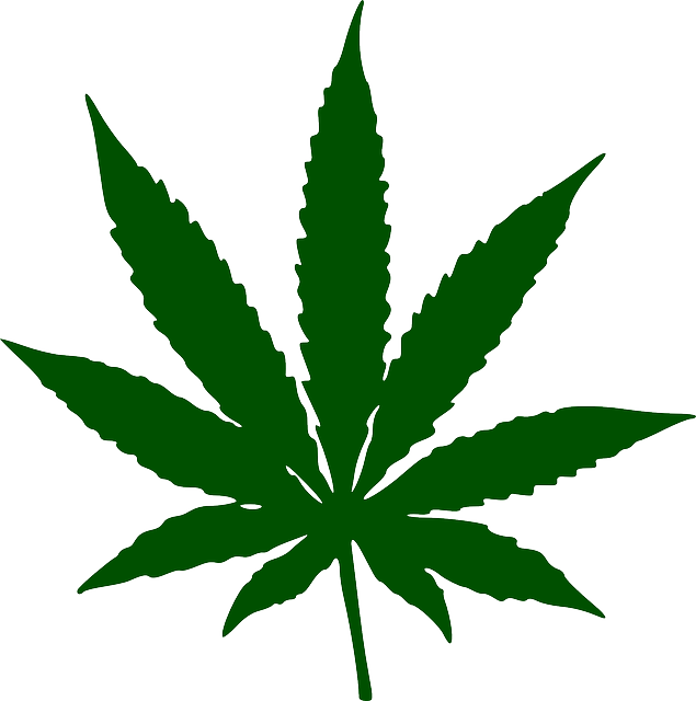 cannabis-weed-marijuana-640x480-58871088.png