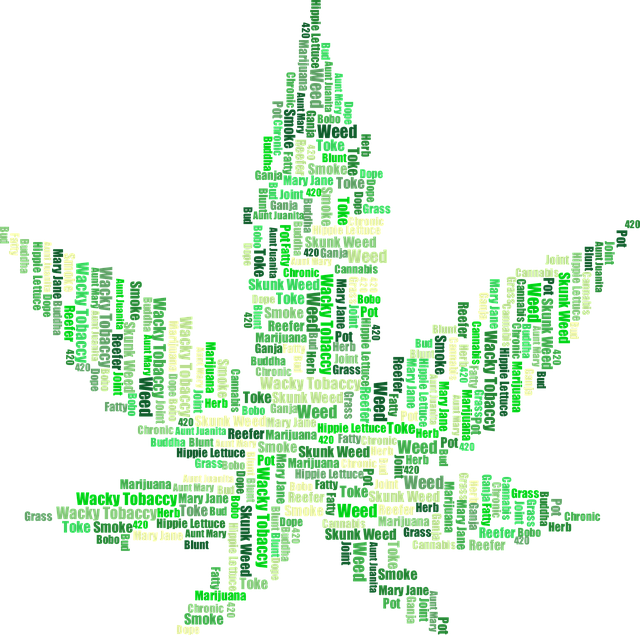 cannabis-weed-marijuana-640x480-1321093.png