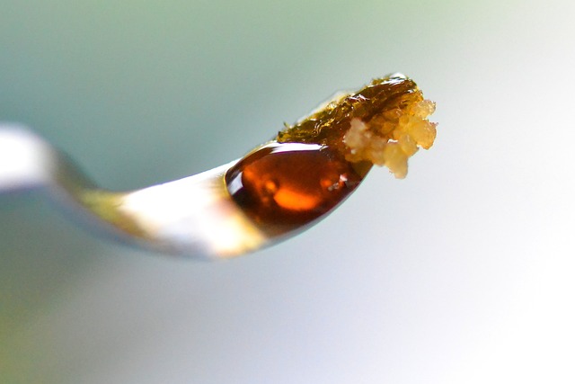 cannabis-weed-marijuana-640x480-23292239.jpeg