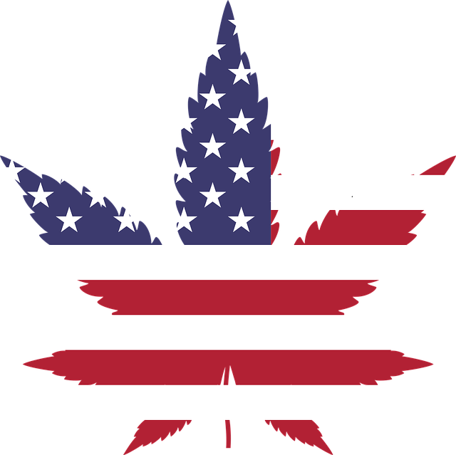 cannabis-weed-marijuana-640x480-29134389.png