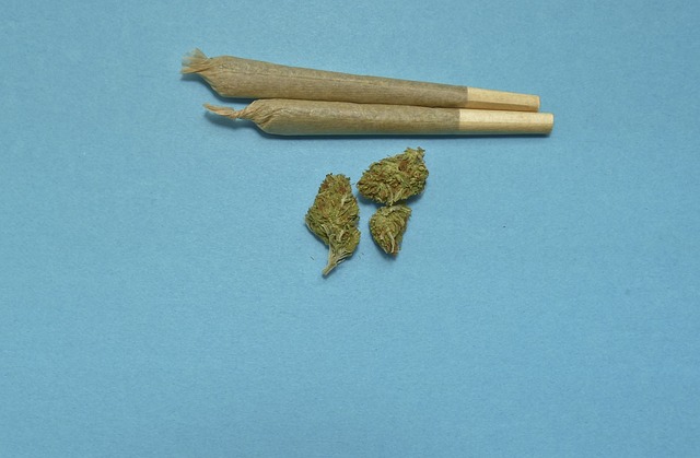 cannabis-weed-marijuana-640x480-36383316.jpeg