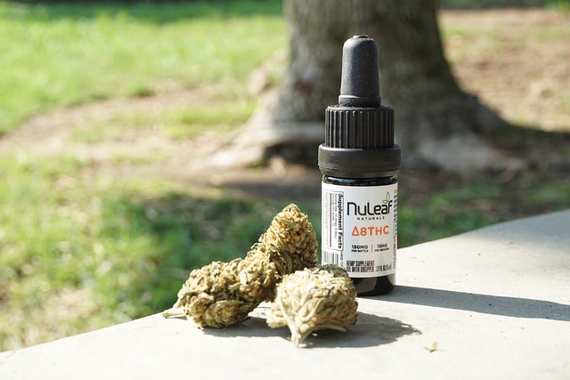 cannabis-weed-marijuana-640x480-3901015.jpeg