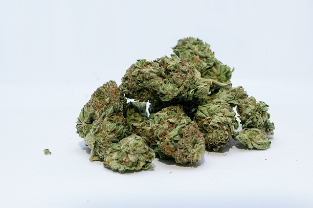 cannabis-weed-marijuana-640x480-58878684.jpeg
