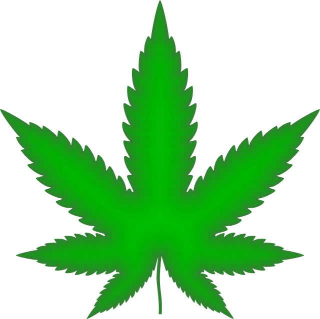 cannabis-weed-marijuana-640x480-63508844.png