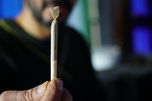 cannabis-weed-marijuana-640x480-7046298.jpeg
