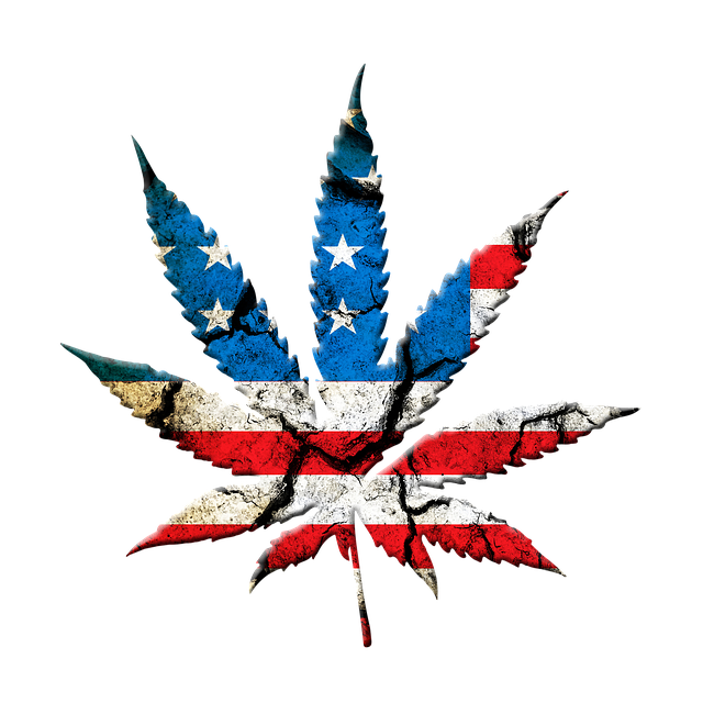 cannabis-weed-marijuana-640x480-76964934.png