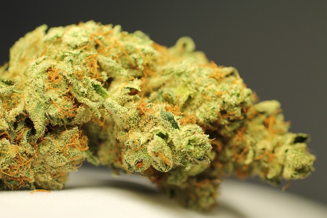 cannabis-weed-marijuana-640x480-85883921.jpeg