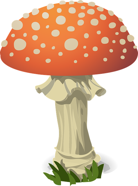 mushroom-coffee-640x480-20456012.png