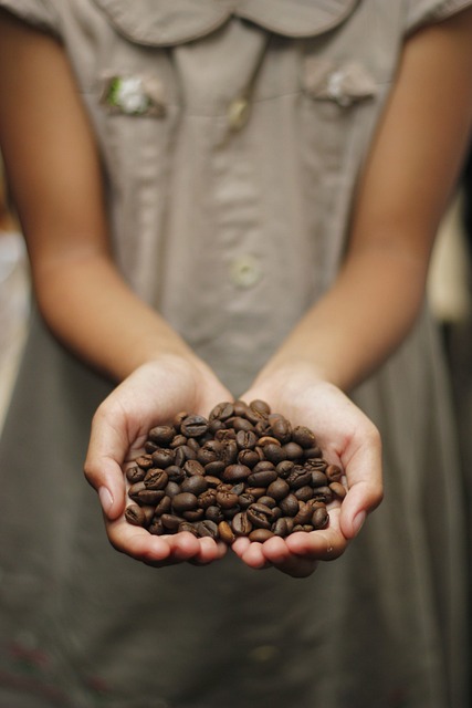 mushroom, coffee, mushroom coffee