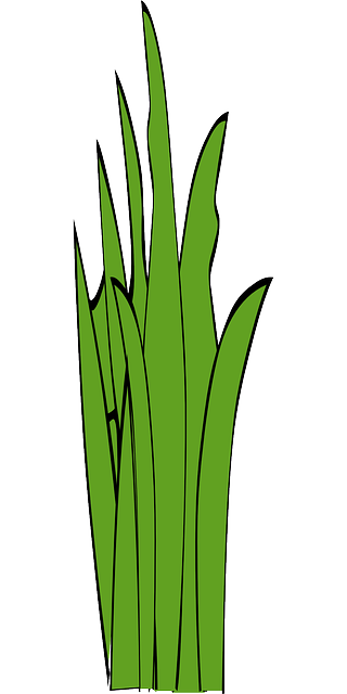 npressfetimg-189.png