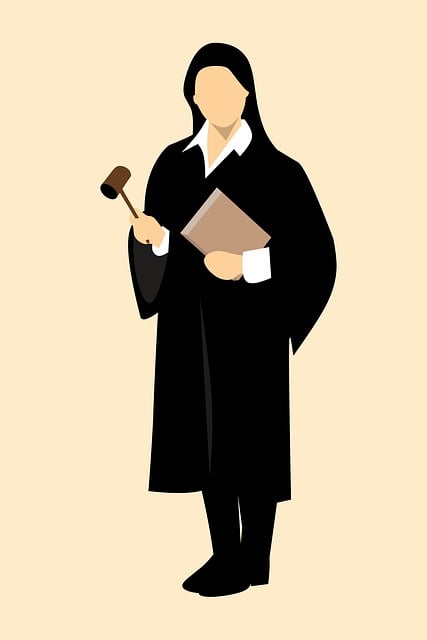 lawyer