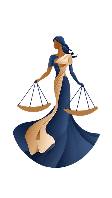 lawyer