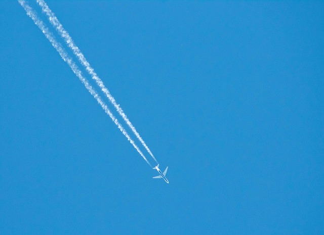 delta 9