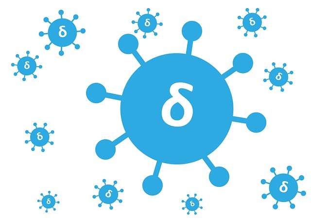delta 9