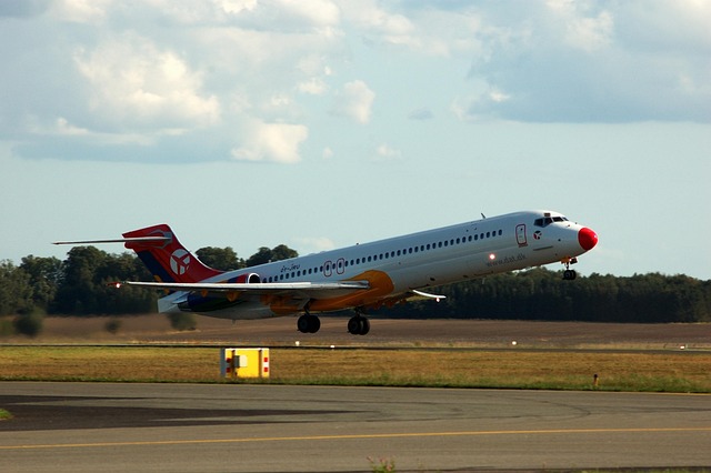 delta 9