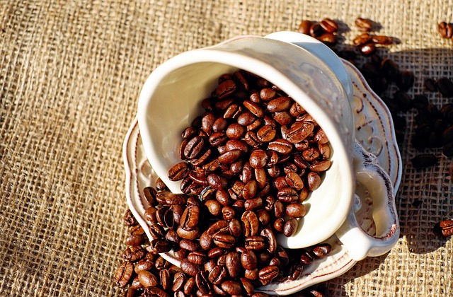 mushroom coffee