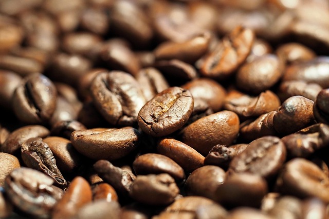mushroom coffee