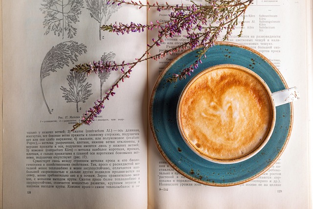 mushroom coffee