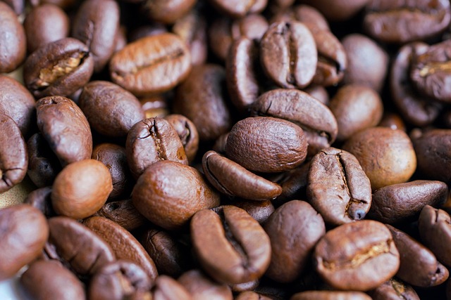 mushroom coffee