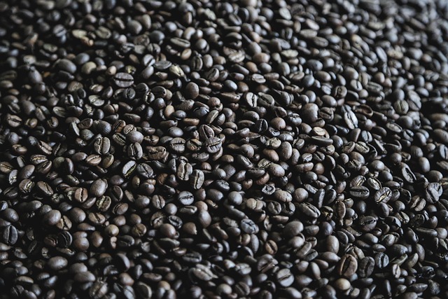 mushroom coffee