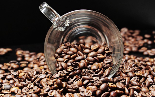 mushroom coffee