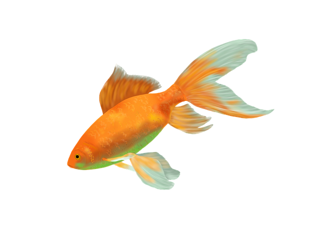 gold-640x480-1078406.png