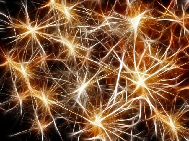 gold-640x480-25306163.jpeg