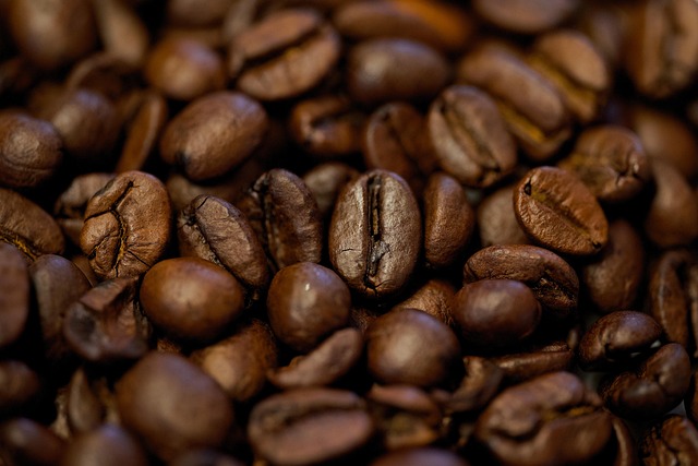 mushroom coffee