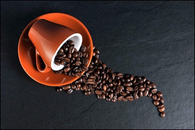 mushroom coffee